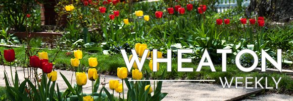 Wheaton Weekly Header
