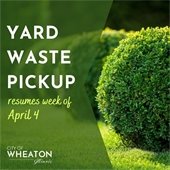 Yard waste pickup
