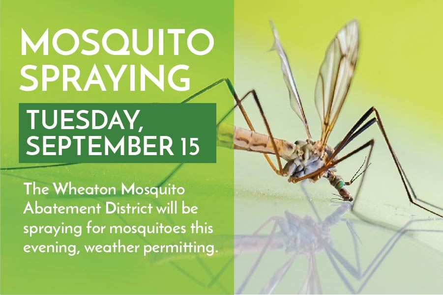 Mosquito Abatement_091520