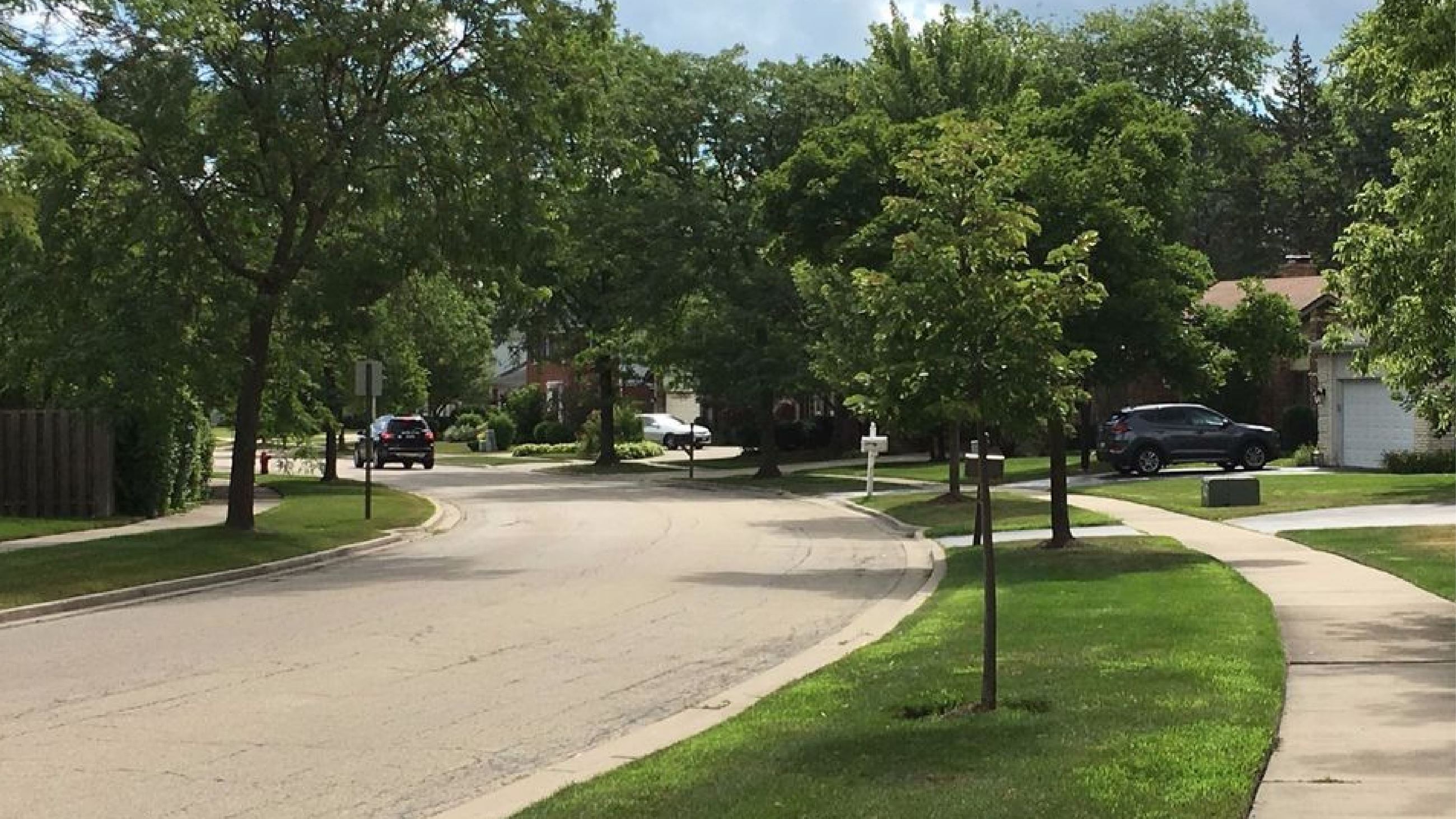 Tree Planting Program