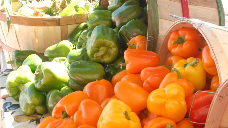 Newsflash_French Market