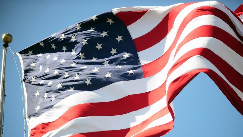 Veterans Day - US Flag