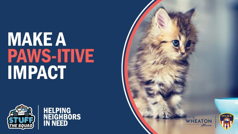 Newsflash_StuffTheSquad_DCAS-01