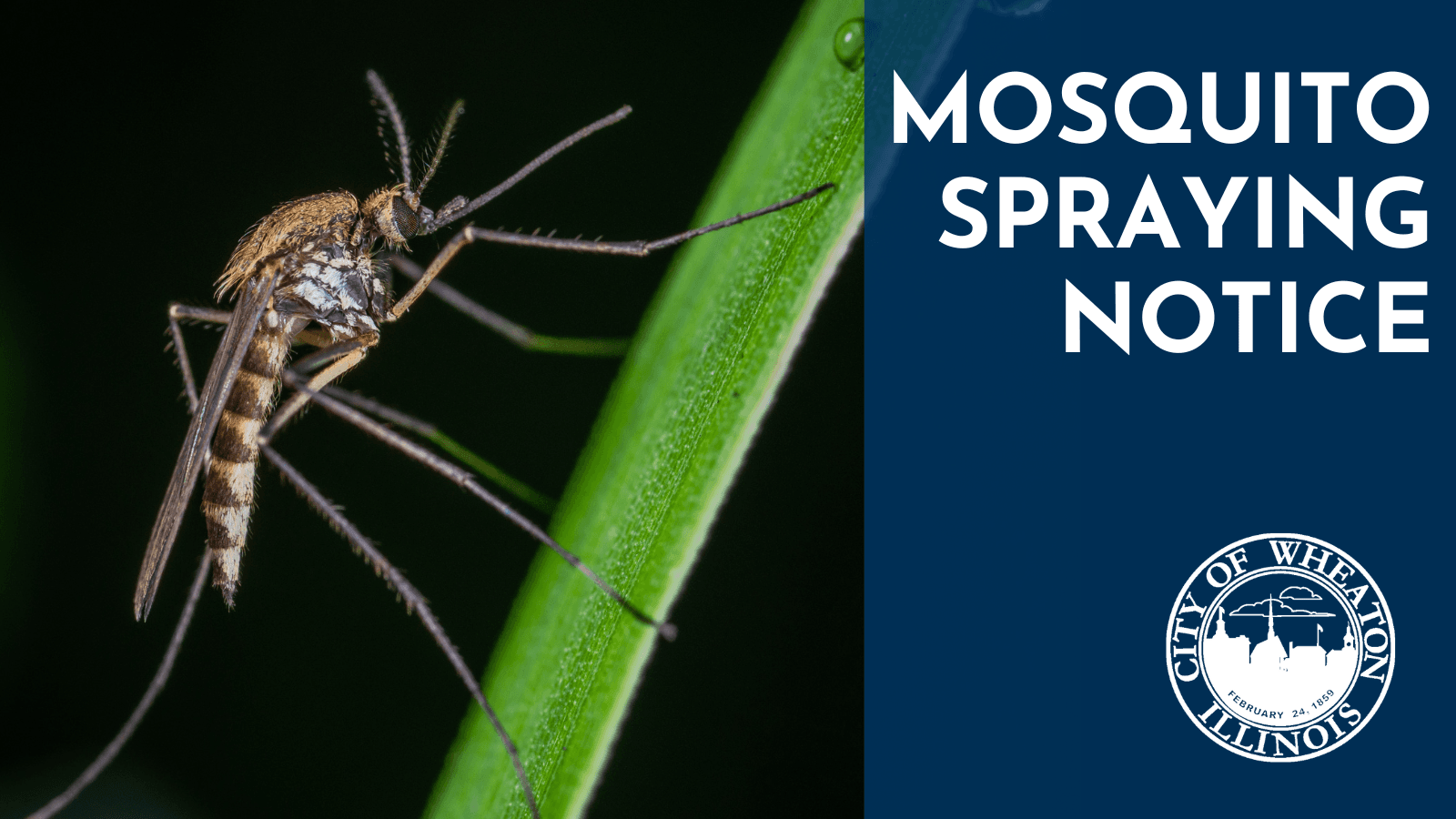 Mosquito Spraying Notice