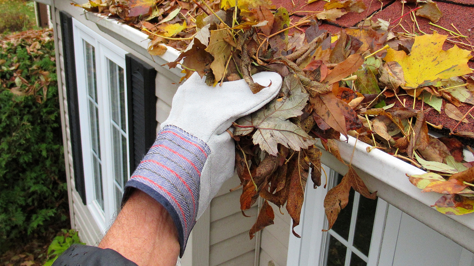 Fall home maintenance cleaning gutters