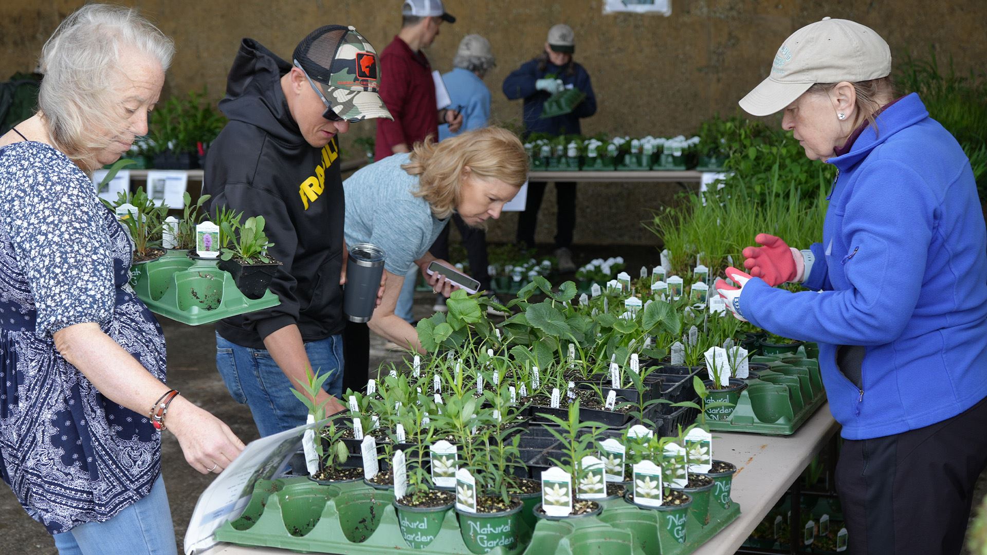 Native Plant Sale Attendees