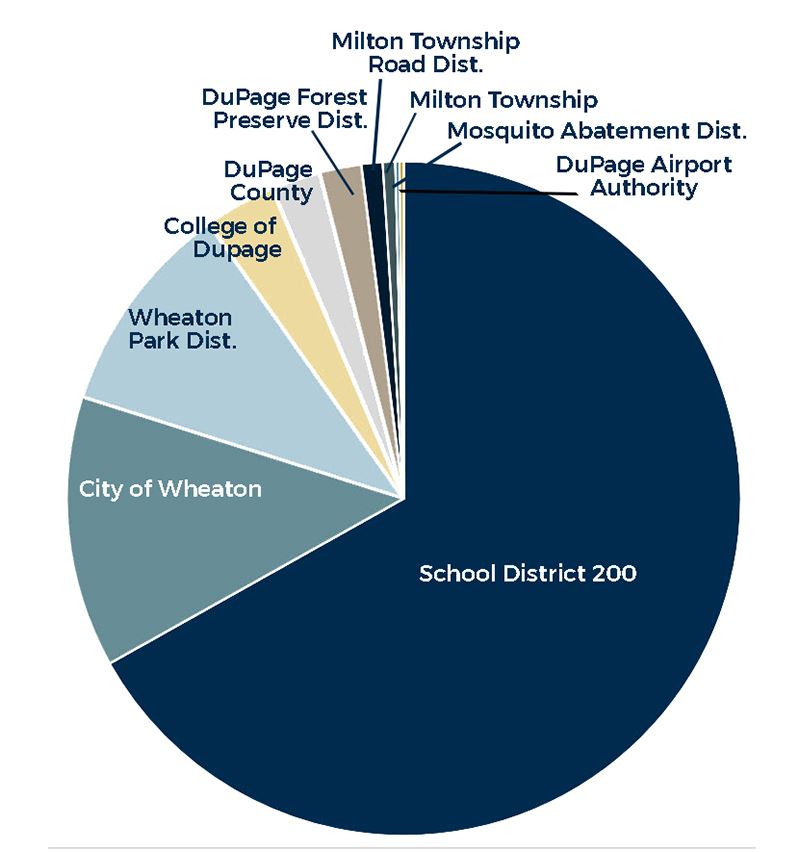 pie chart for website